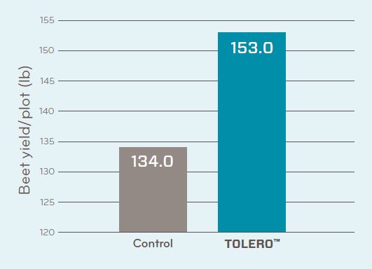 Tolero Sugarbeet Trial Data