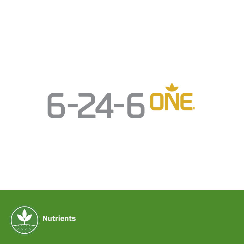 6-24-6 Low Salt Liquid Fertilizer