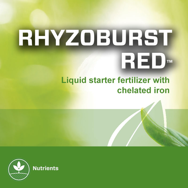 Rhyzoburst Red