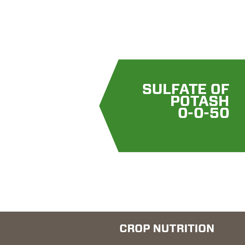 Sulfate of Potash