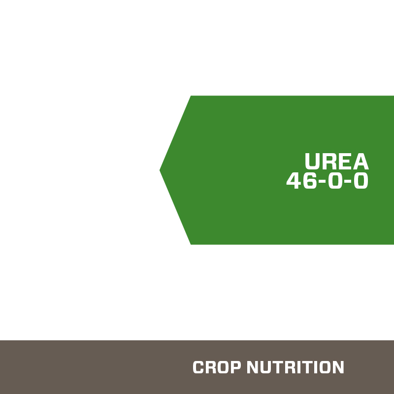 Urea Nitrogen Fertilizer
