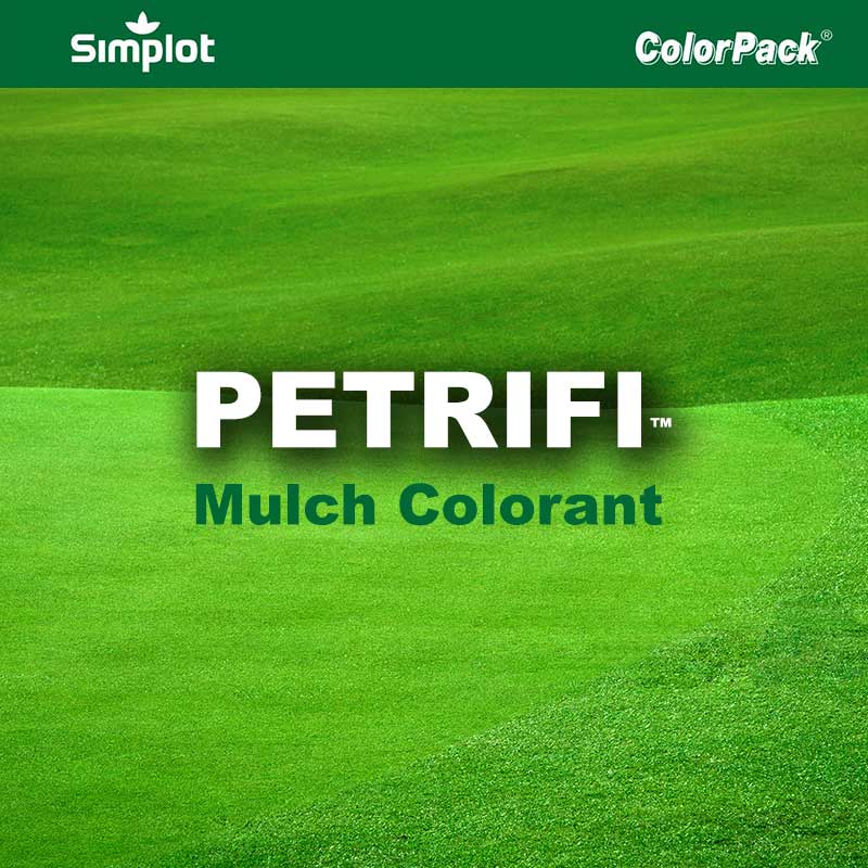 Petrifi ColorPack Image