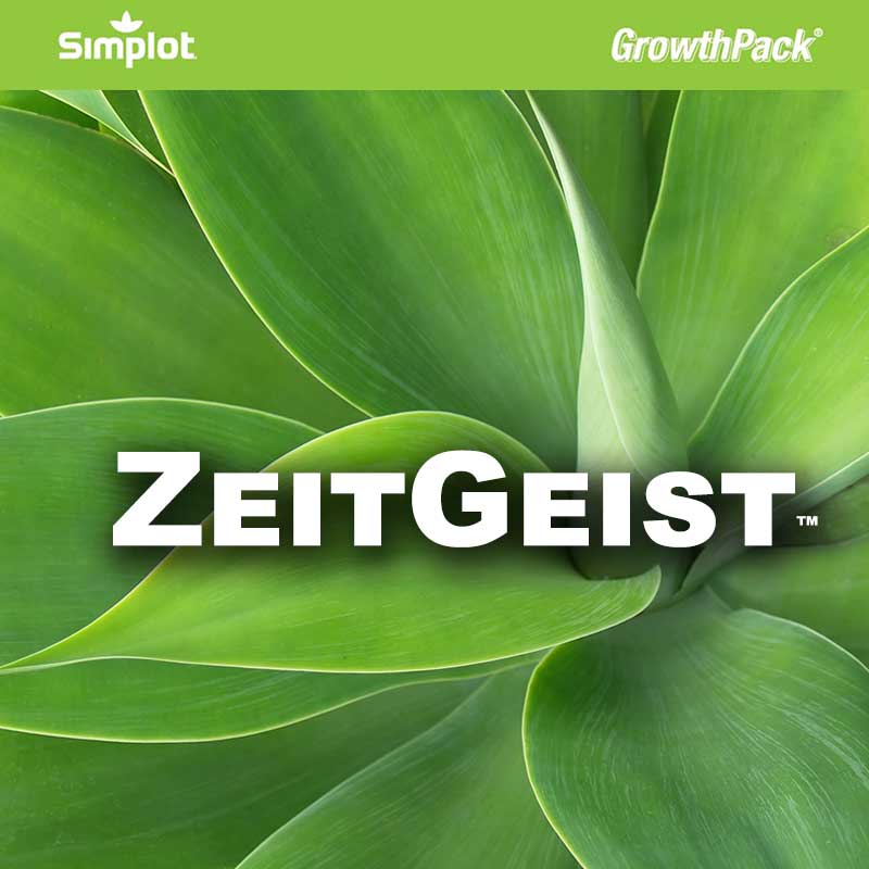 ZeitGeist Growth Pack Image