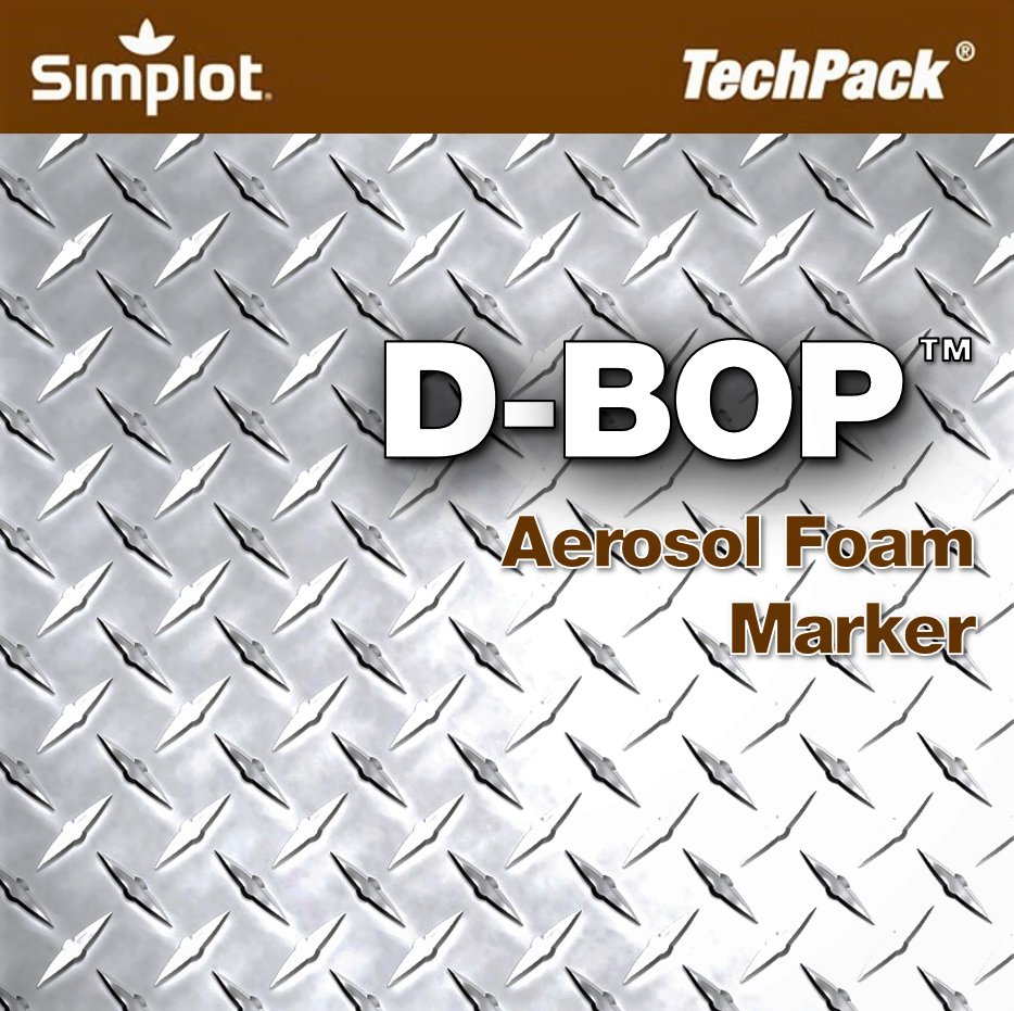 D-Pop-Image